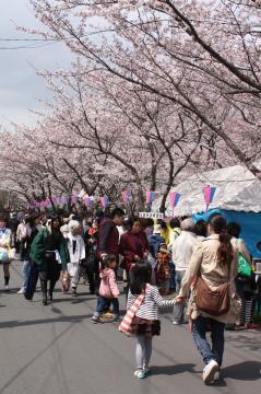 桜市会場の画像