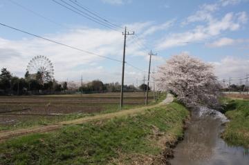 大字須賀付近の姫宮落川の写真