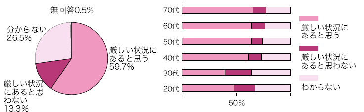 財政状況のグラフ