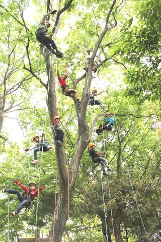 山崎山　ロープで木に登るツリークライミング参加者