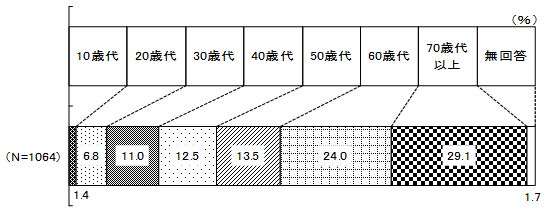 年齢構成の結果グラフ