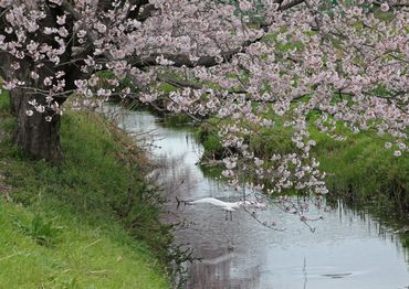 優秀賞「春のよろこび」の写真