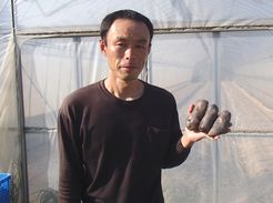 紫ジャガ芋生産者の蛭田さん