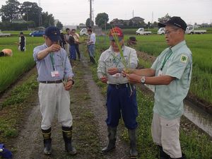 受講者が自ら採取した稲を見ている