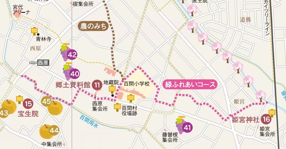 健康マッ歩緑ふれあいコース地図