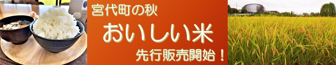 ふるさと納税の画像