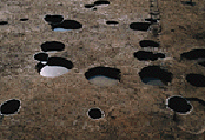 金原遺跡1号方形柱穴列の写真