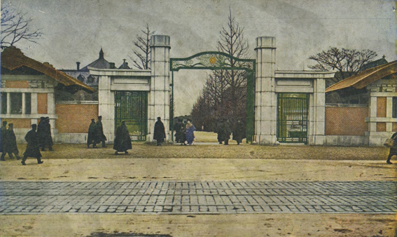 東京帝国大学正門（絵はがき）の画像