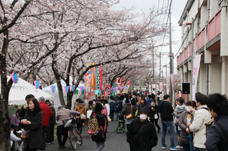 桜の下に並ぶ出店