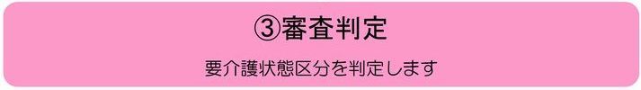 3 審査判定