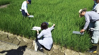 カラースケール