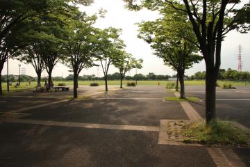 中央園路広場の写真