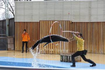 ショーの写真