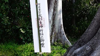 お札の写真
