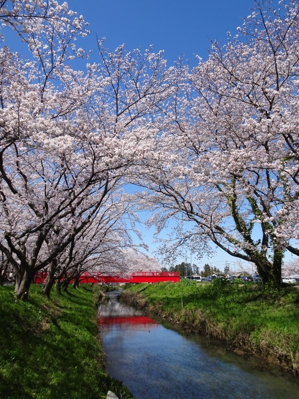 令和2年度優秀賞　見つけた！赤い橋