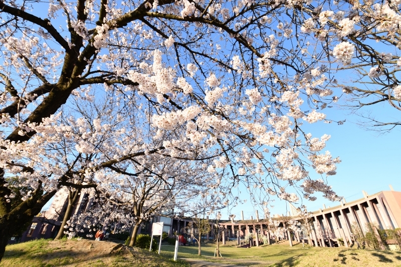 令和2年度優秀賞　集い