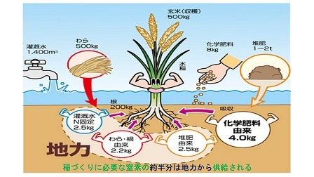 土づくり