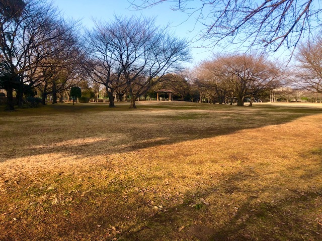 総合運動公園の風景1