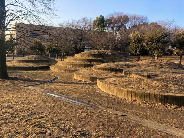 総合運動公園の風景2