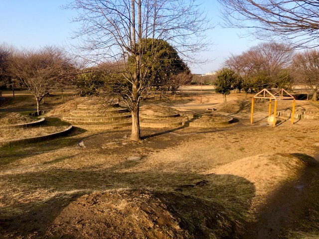 総合運動公園の風景3