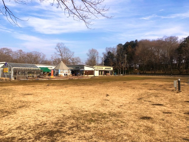 新しい村の風景その1