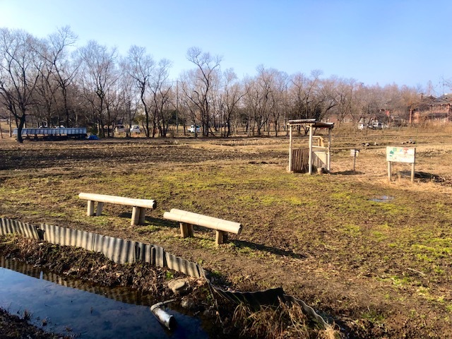 新しい村の風景その4