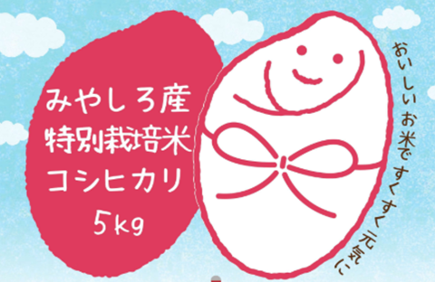 お贈りするお米のラベルイメージ