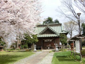 姫宮落川の桜2