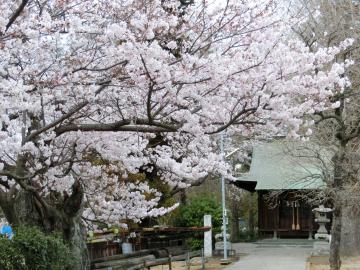 宇宮神社の写真