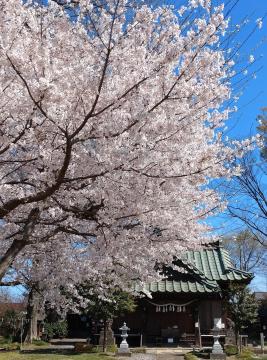 令和4年度最優秀作品　「名付けの杜」