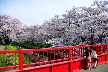 令和4年度優秀賞　「何が見えるかな？」