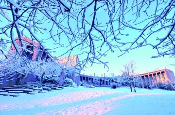 最優秀賞「雪の静寂」の写真