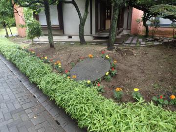 配布先の宮代町立コミュニティ進修館の花の様子