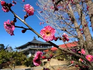 青林寺