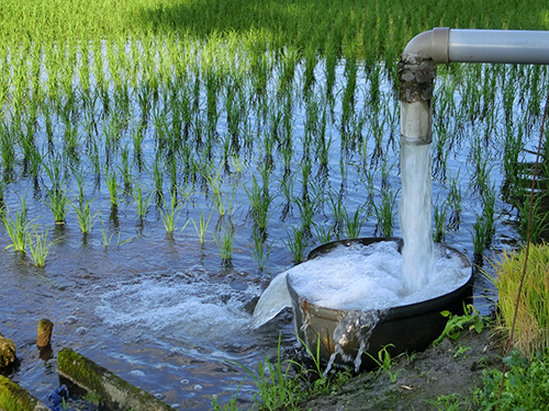 田んぼに水が勢いよく入る様子