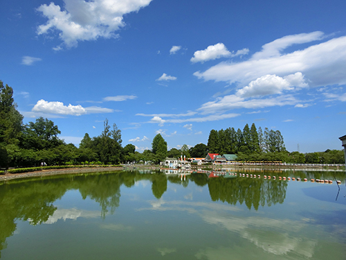 東武動物公園の池と新緑