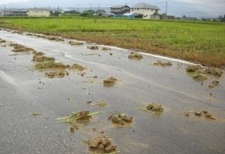 道路に放置された泥