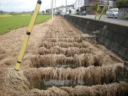 令和元年10月台風19号通過後に水路へ流された稲わらの様子