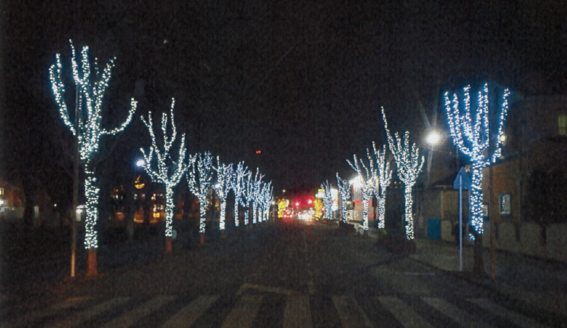 昨年度イルミネーション点灯状況