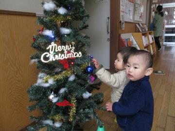 クリスマスツリーを見る