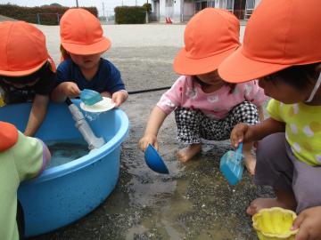 お水をすくって別の器へ移す様子。