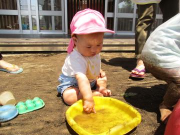 タライの水に手を入れる様子。