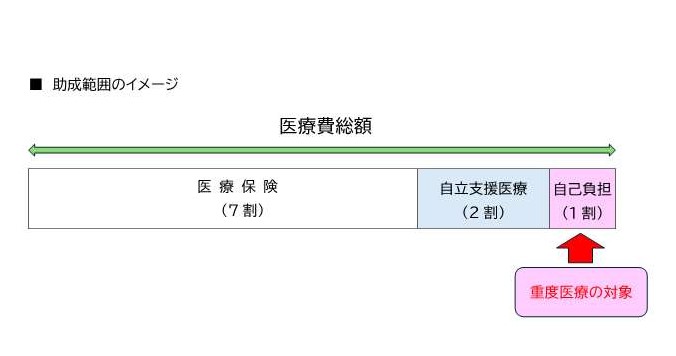 医療費助成のイメージ