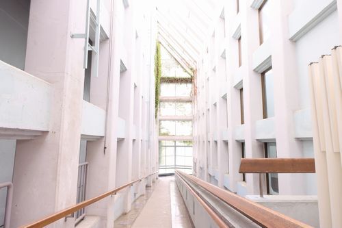 2階から眺める光路