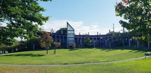 四季の丘の様子