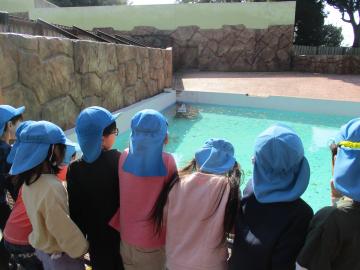 動物を探すこどもたち