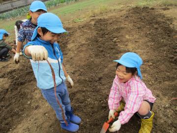長い根っこを引っ張りだすこどもたち。