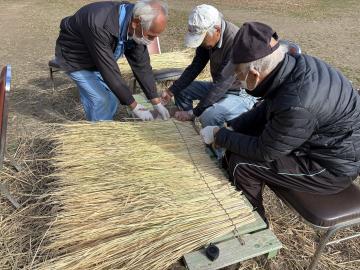 菰（こも）作り(3)