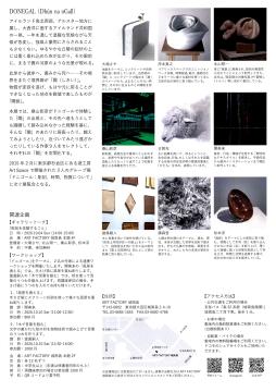 ドニゴールⅡ チラシ 裏面