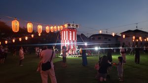 流し踊り(夜)